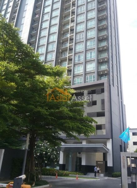 ¤͹ Hive Sathorn (ο ҷ)