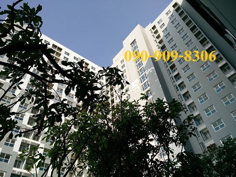 ISSI Condo ¤Í¹â´ÁÔà¹ÕÂÁÊäµÅìâÁà´ÔÃì¹ÊÙ§ 24 ªÑé¹ ISSI Condo ¤Í¹â´ÁÔà¹ÕÂÁÊäµÅìâÁà´ÔÃì¹ÊÙ§ 24 ªÑé¹