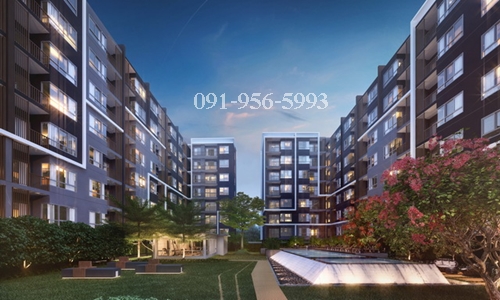 ขาย Hallmark Chaengwattana คอนโด Low Rise30ตรม ชั้น 6 ขาย Hallmark Chaengwattana คอนโด Low Rise30ตรม ชั้น 6