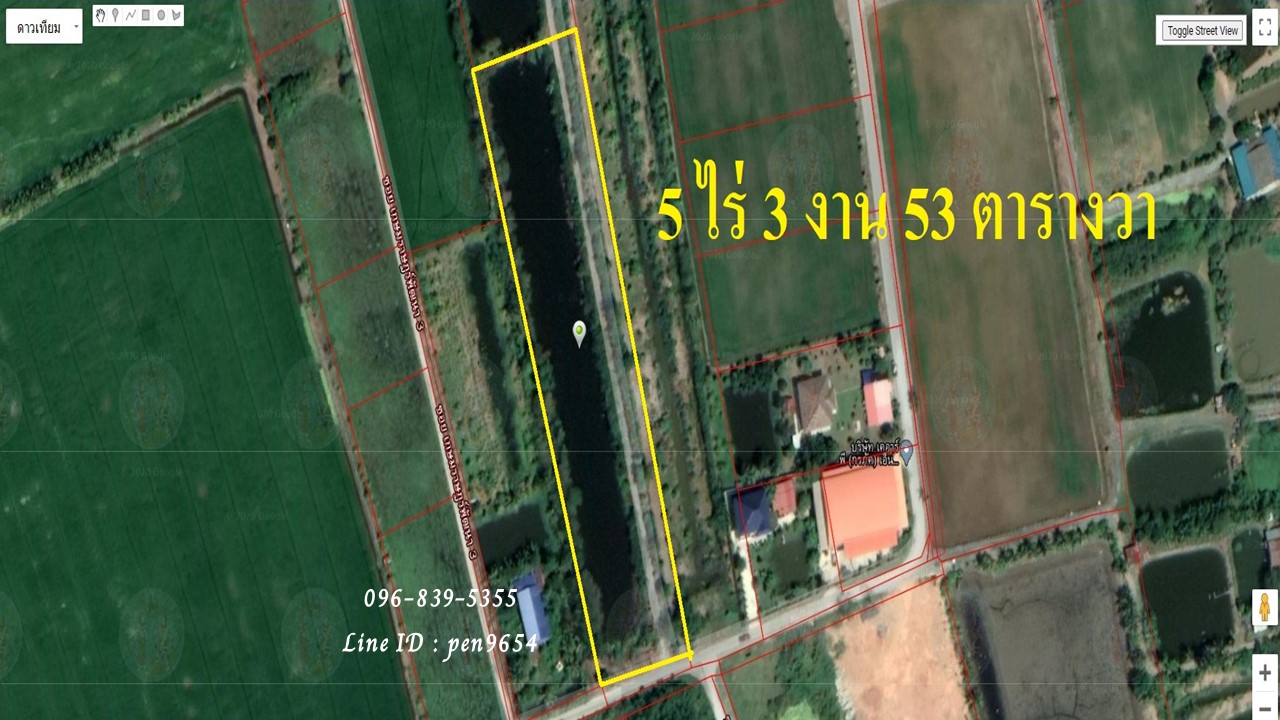 PH767 ¢Ò¶١·Õè´Ô¹à»ÅèҨѧËÇÑ´©ÐàªÔ§à·ÃÒ 5 äÃè 3 §Ò¹ 53 µÒÃÒ§ÇÒ à»ç¹¾×é¹·ÕèÊÕªÁ¾Ù PH767 ¢Ò¶١·Õè´Ô¹à»ÅèҨѧËÇÑ´©ÐàªÔ§à·ÃÒ 5 äÃè 3 §Ò¹ 53 µÒÃÒ§ÇÒ à»ç¹¾×é¹·ÕèÊÕªÁ¾Ù