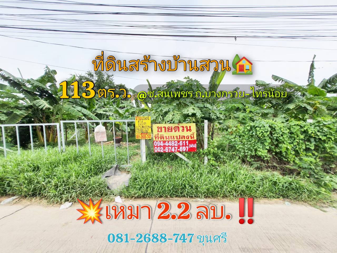 ¢Ò´èǹ!! ·Õè´Ô¹ºÒ§ºÑǷͧ 113 µÒÃÒ§ÇÒ👉¶ÁáÅлÅÙ¡¾×ªËÅÒ¡ËÅÒª¹Ô´👉«Í ʹྪà ¶¹¹ºéÒ¹¡ÅéÇÂ-ä·Ã¹éÍ ¢Ò´èǹ!! ·Õè´Ô¹ºÒ§ºÑǷͧ 113 µÒÃÒ§ÇÒ👉¶ÁáÅлÅÙ¡¾×ªËÅÒ¡ËÅÒª¹Ô´👉«Í ʹྪà ¶¹¹ºéÒ¹¡ÅéÇÂ-ä·Ã¹éÍÂ