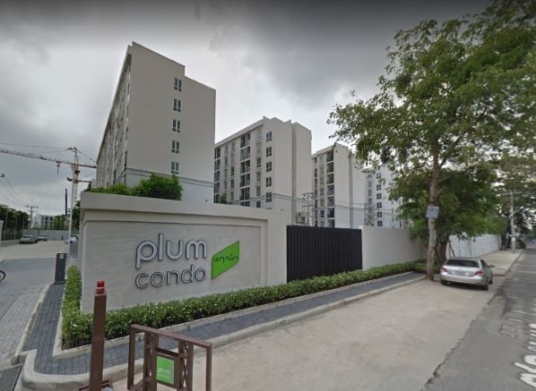 CM03909 ¾  ͹ Ѳ ൪ Plum Condo Chaengwattana Station Ѳ