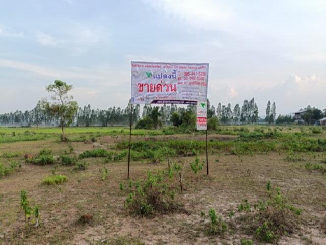 ขายที่ดิน 42-1-40 ไร่ ทำเลดี ต.พรานกระต่าย อ.พรานกระต่าย จ.กำแพงเพชร ขายที่ดิน 42-1-40 ไร่ ทำเลดี ต.พรานกระต่าย อ.พรานกระต่าย จ.กำแพงเพชร