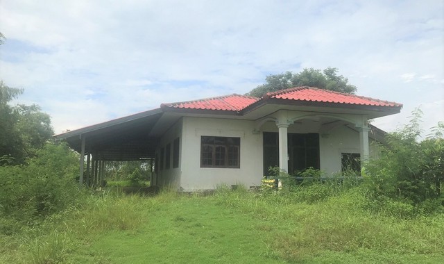 ขายบ้านเดี่ยว อำเภอลืออำนาจ อำนาจเจริญ (PKK02-11950) ขายบ้านเดี่ยว อำเภอลืออำนาจ อำนาจเจริญ (PKK02-11950)