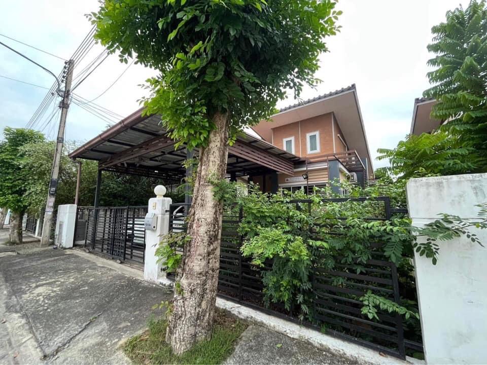 ¢ÒºéÒ¹à´ÕèÂÇ »·ØÁ¸Ò¹Õ ÅÓÅÙ¡¡Ò 51.5ÇÒ 2.35Å T0966458046 ¢ÒºéÒ¹à´ÕèÂÇ »·ØÁ¸Ò¹Õ ÅÓÅÙ¡¡Ò 51.5ÇÒ 2.35Å T0966458046