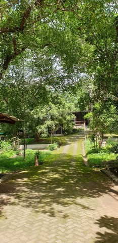ขายที่ดิน เนินสวย ร่มรื่น พร้อมอาคาร 5 หลัง แม่ริม ขายที่ดิน เนินสวย ร่มรื่น พร้อมอาคาร 5 หลัง แม่ริม