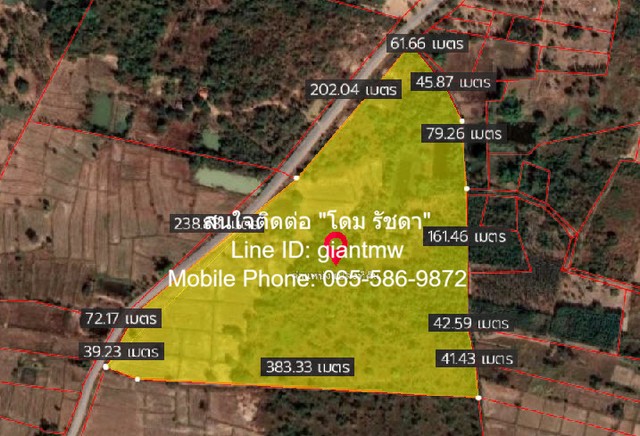 ขายที่ดินทุ่งนา สวน และป่าไม้ติดถนน เมืองชัยภูมิ จ.ชัยภูมิ 60-1-2 ขายที่ดินทุ่งนา สวน และป่าไม้ติดถนน เมืองชัยภูมิ จ.ชัยภูมิ 60-1-2