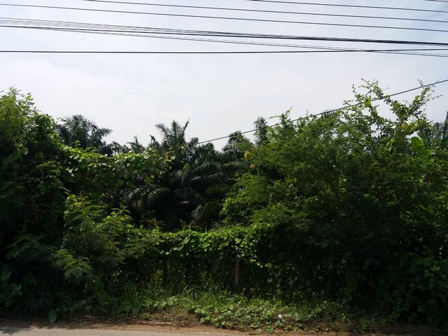 ขายที่ดิน ติดทางหลวงเทศบาล 18-3-6 ไร่ โพธาราม ราชบุรี เหมาะสำหรั ขายที่ดิน ติดทางหลวงเทศบาล 18-3-6 ไร่ โพธาราม ราชบุรี เหมาะสำหรั