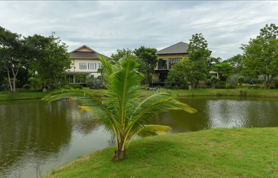 ขายที่ดินติดคลองลำตะคองแอ่งน้ำตกขนาดกว้าง เขาใหญ่ปากช่อง 08130369 ขายที่ดินติดคลองลำตะคองแอ่งน้ำตกขนาดกว้าง เขาใหญ่ปากช่อง 08130369