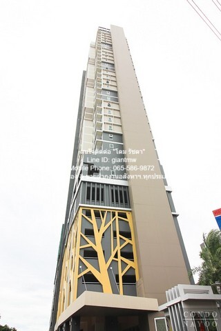 Ҥ͹ (Ҿ) Ԫ @Ҿ (Rich Park @Chaop