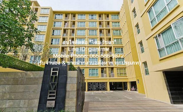 Ҥ͹ⴵԴö俿 ο آԷ 65 (Hive Sukhumvit 65) 