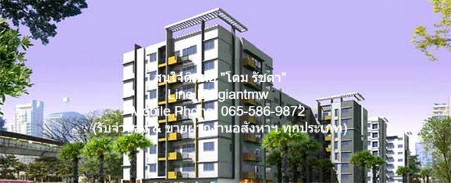 Ҥ͹  ͹ آԷ 81 (My Condo Sukhumvit 81)