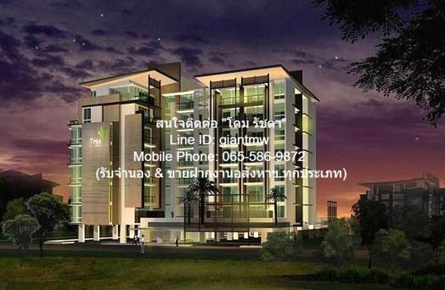 ให้เช่าคอนโด ทรี คอนโด สุขุมวิท 52 (Tree Condo Sukhumvit 52) ชั ให้เช่าคอนโด ทรี คอนโด สุขุมวิท 52 (Tree Condo Sukhumvit 52) ชั