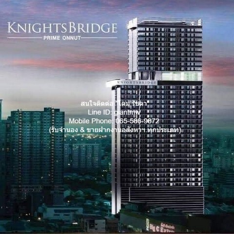 Ҥ͹ 乷Դ  ͹ت (KnightsBridge PrimeOnnut