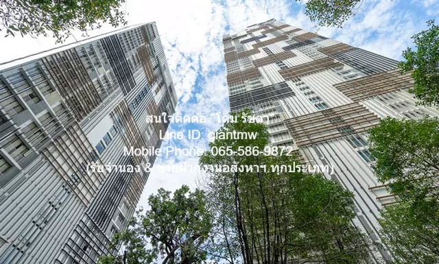 Ҥ͹дѺ͹  Ԩ "