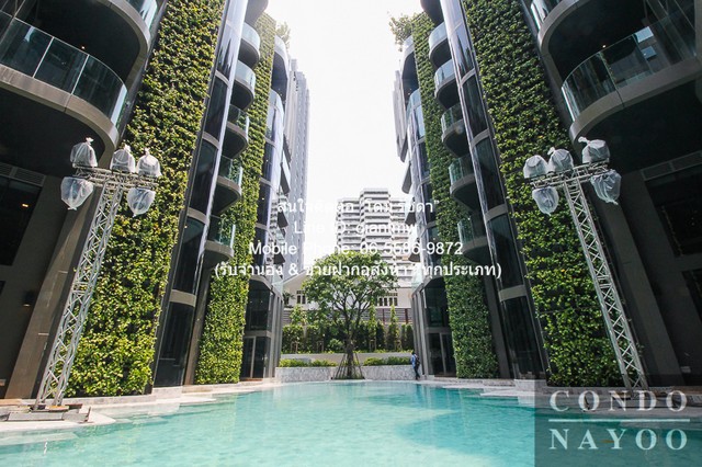 ให้เช่าคอนโดเลี้ยงสัตว์ได้ (Pet friendly) แอชตัน เรสซิเดนซ์ 41 ให้เช่าคอนโดเลี้ยงสัตว์ได้ (Pet friendly) แอชตัน เรสซิเดนซ์ 41