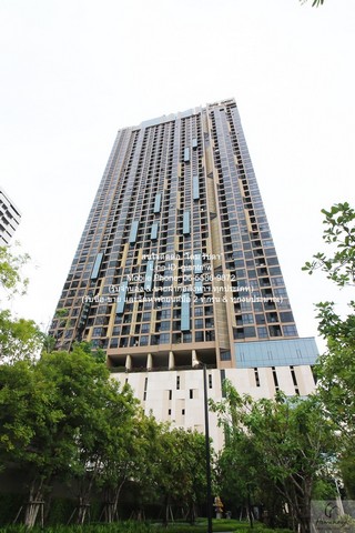 Ҥ͹ ͡  آԷ 36 Oka Haus Sukhumvit 36