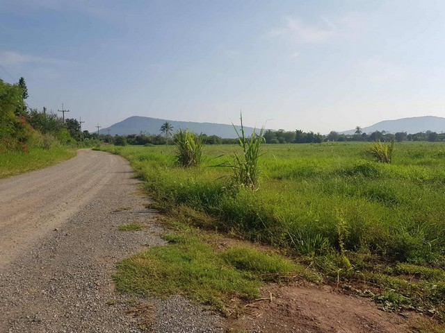 หาที่สวยทรัพย์ดีที่ ขายที่ดินปากช่อง2-8ไร่ โฉนด ต.วังไทร ไร่ละ 2. หาที่สวยทรัพย์ดีที่ ขายที่ดินปากช่อง2-8ไร่ โฉนด ต.วังไทร ไร่ละ 2.