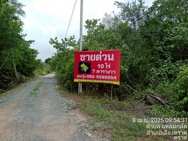 ขายที่ใกล้ทะเลติดคลองสนห่างจากทะเล100เมตร ติดคลองสน ขายที่ใกล้ทะเลติดคลองสนห่างจากทะเล100เมตร ติดคลองสน