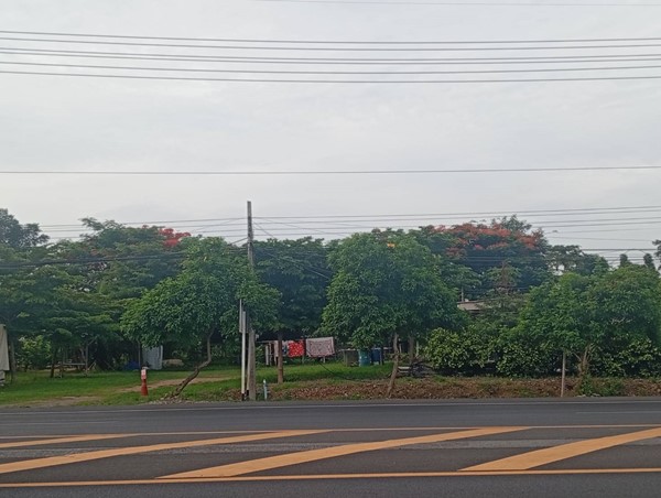 ขายด่วน! ที่ดินสวนเกษตรผสมผสานสไตล์รีสอร์ท อ.พัฒนานิคม จ.ลพบุรี พร้อมบ้านและสิ่งปลูกสร้างครบครัน โทร 063-3832910 ขายด่วน! ที่ดินสวนเกษตรผสมผสานสไตล์รีสอร์ท อ.พัฒนานิคม จ.ลพบุรี พร้อมบ้านและสิ่งปลูกสร้างครบครัน โทร 063-3832910