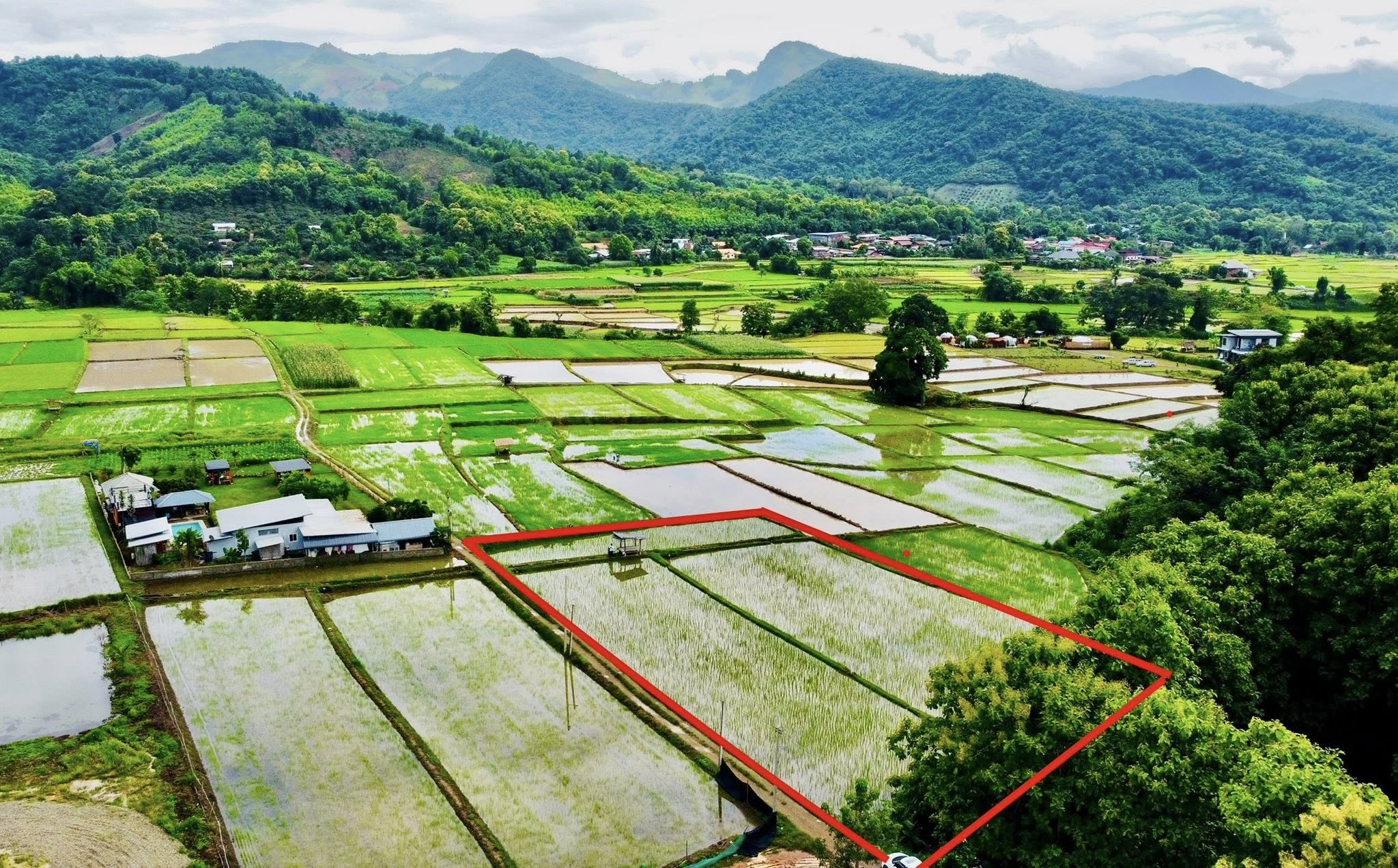 ขายที่ดิน ปัว น่าน 707 ตร.ว. ราคา 1.9 ล้าน ขายที่ดิน ปัว น่าน 707 ตร.ว. ราคา 1.9 ล้าน