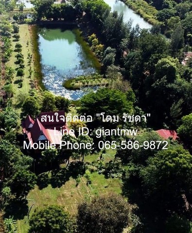 ขายบ้านสวน 3 หลัง เนื้อที่ 5-2-20 ไร่ อ.ราชสาสน์ จ.ฉะเชิงเทรา ขายบ้านสวน 3 หลัง เนื้อที่ 5-2-20 ไร่ อ.ราชสาสน์ จ.ฉะเชิงเทรา