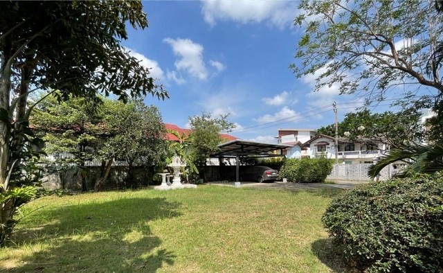 ºҹç ͤԴ  (Orchid Villa) Ҵ 250 .. 4  4