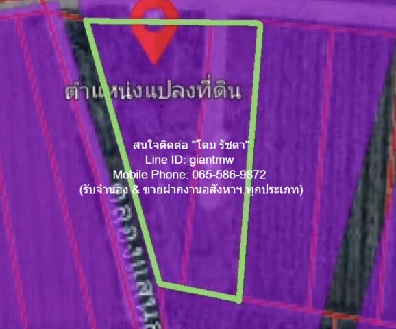 ·Թѧǧ Դ Դͧ .зẹ .طҤ 4-2-6 