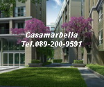 ¢Ò¤͹â´ãËÁè¨Ò¡áʹÊÔÃÔ á¹Çö俿éÒ D Condo ÃÒª¾Ä¡Éì ¨ÃÑ13 ¢Ò¤͹â´ãËÁè¨Ò¡áʹÊÔÃÔ á¹Çö俿éÒ D Condo ÃÒª¾Ä¡Éì ¨ÃÑ13