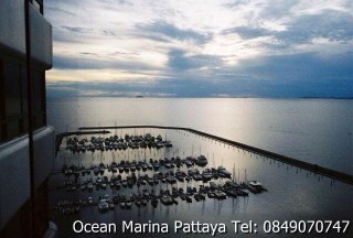 ¢Ò¤͹â´Á×ÍÊͧ OCEAN MARINA ¾Ñ·ÂÒ µÔ´·Õè¨Í´àÃ×Í µ¡áµè§¤Ãº ¾ÃéÍÁ MEMBERSHIP ¢Ò¤͹â´Á×ÍÊͧ OCEAN MARINA ¾Ñ·ÂÒ µÔ´·Õè¨Í´àÃ×Í µ¡áµè§¤Ãº ¾ÃéÍÁ MEMBERSHIP