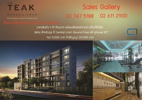 THE TEAK ҧҵҴ13