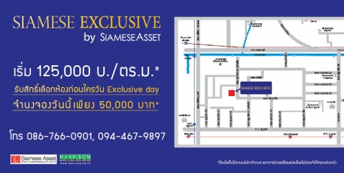 SIAMESE EXCLUSIVE . آԷ 31 ԴѺӹͧѺԷͧ͡͹ѹ EXCLUSIVE DAY