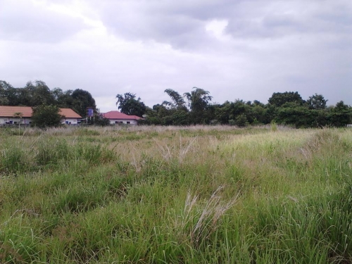 ¢Ò·Õè´Ô¹¾ÃéÍÁâ͹/SALE OF LAND WITH TRANSFER ¢Ò·Õè´Ô¹¾ÃéÍÁâ͹/SALE OF LAND WITH TRANSFER