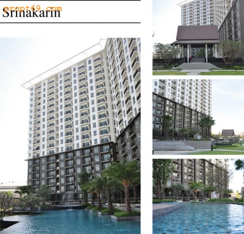 ´ǹ! ͹ Ź չԹ Ť䫴 36 .. (ͧ ǷҺ / ˹) CONDO FOR SALE: THE PARKLAND SRINAKARIN LAKESIDE 36 SQ.M. (LAKE VIEW ROOM / NORTH) 