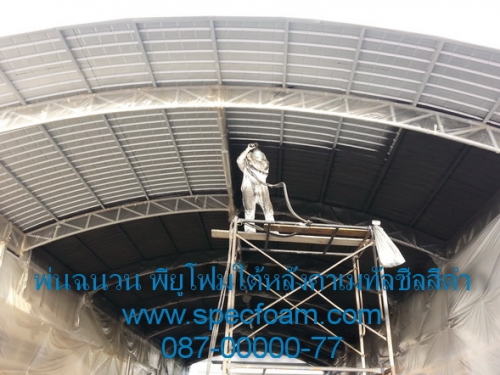 ໤ 繨Ѻԡþ蹩ǹѹ͹ 纤  Pu Foam  Ҥ ҹ çҹ
